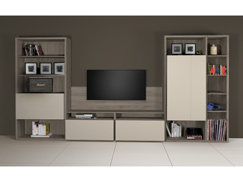 Meuble bibliothèque et TV - composition 2 - hover