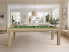 eurobillards – gamme excellence – billard new tendance table bois, tapis vert pomme, chêne nature x2, liséré blanc