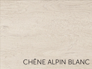 chêne alpin blanc