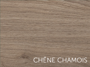 chêne chamois